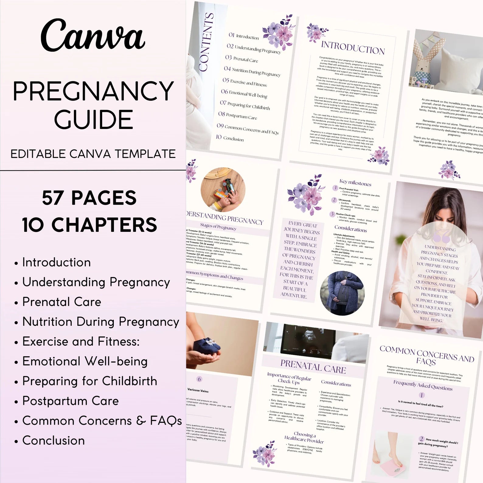 The Ultimate Pregnancy Guide